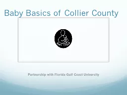 Baby Basics of Collier County