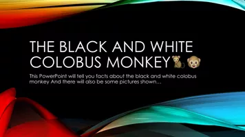 The blAck and white colobus monkey