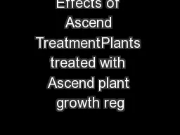 Effects of Ascend TreatmentPlants treated with Ascend plant growth reg