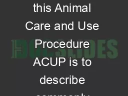 ACUP  Rodent Anesthesia The intent of this Animal Care and Use Procedure ACUP is to describe