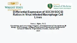 Differential Expression of SOCS1/SOCS3 Ratios in Virus-Infe