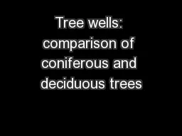 Tree wells: comparison of coniferous and deciduous trees