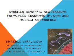 Antiulcer activity of new probiotic preparation consisting
