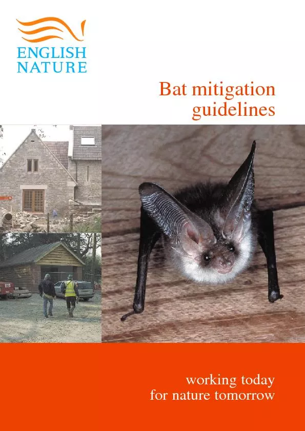working today for nature tomorrowBat mitigationguidelines