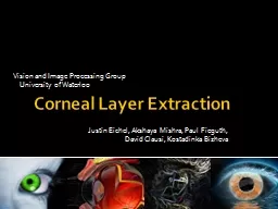 Corneal Layer Extraction