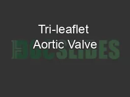 Tri-leaflet Aortic Valve