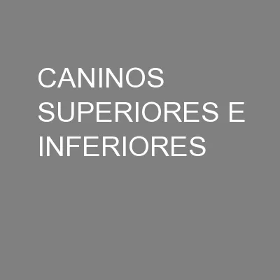 CANINOS SUPERIORES E INFERIORES