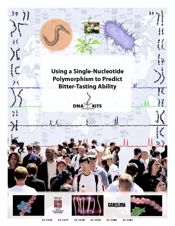sing a Single-NucleotidePolymorphism to PredictBitter-Tasting Ability