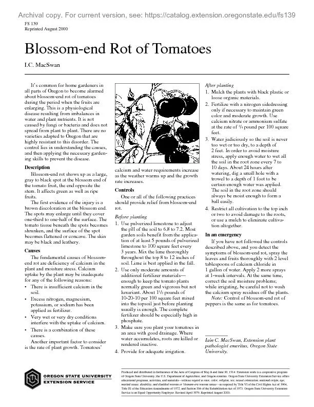 Blossom-end Rot of Tomatoes