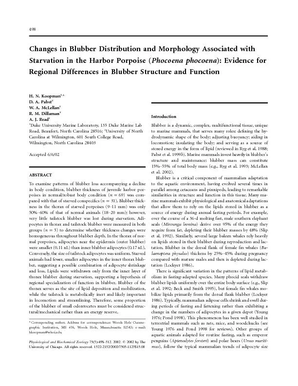 ChangesinBlubberDistributionandMorphologyAssociatedwithStarvationinthe