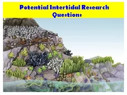 Potential Intertidal Research