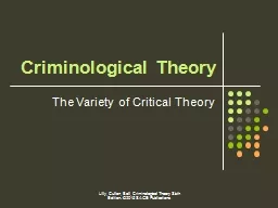 The Variety of Critical Theory