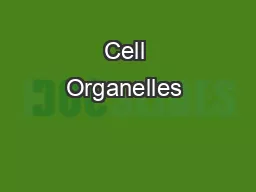 Cell Organelles & Features