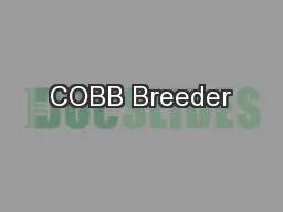 COBB Breeder