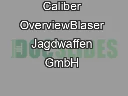 Caliber OverviewBlaser Jagdwaffen GmbH 