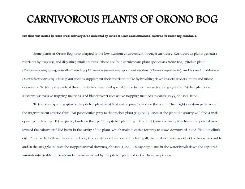 CARNIVOROUS PLANTS OF ORONO BOG