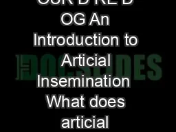 A N EW TO OUR D RE D OG An Introduction to Articial Insemination  What does articial insemination