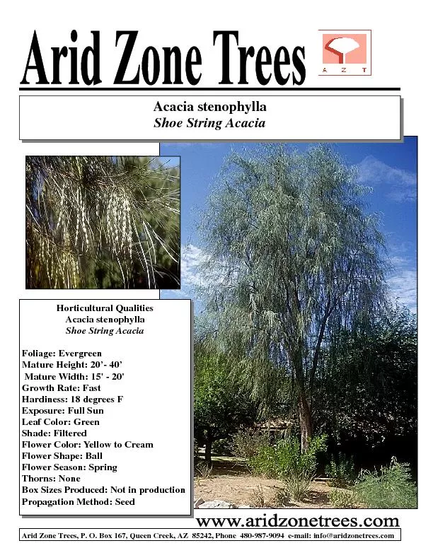 Arid Zone Trees, P. O. Box 167, Queen Creek, AZ  85242, Phone  480-987