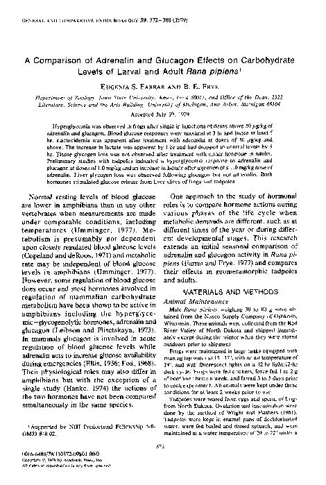 GENERAL AND COMPARATIVE ENDOCRINOLOGY 39, 372-380 (1979)