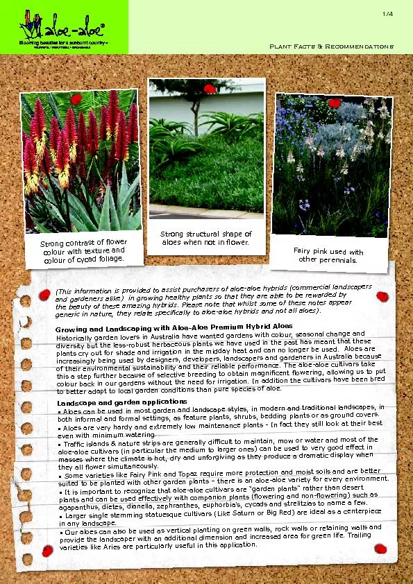 Plant Facts & Recommendations1/4