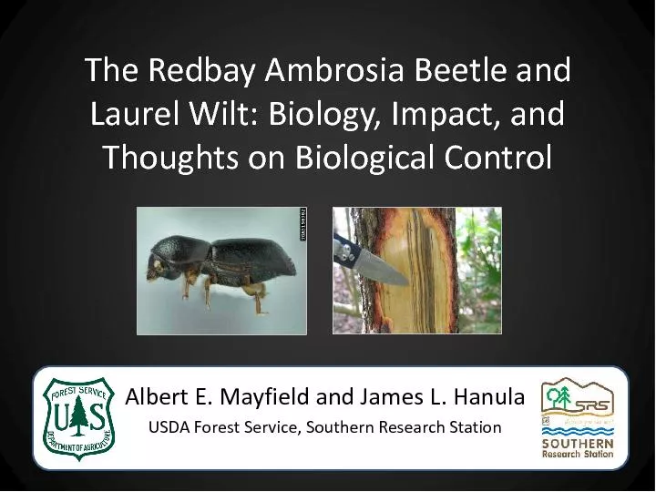 The RedbayAmbrosia Beetle and Laurel Wilt: Biology, Impact, and Though