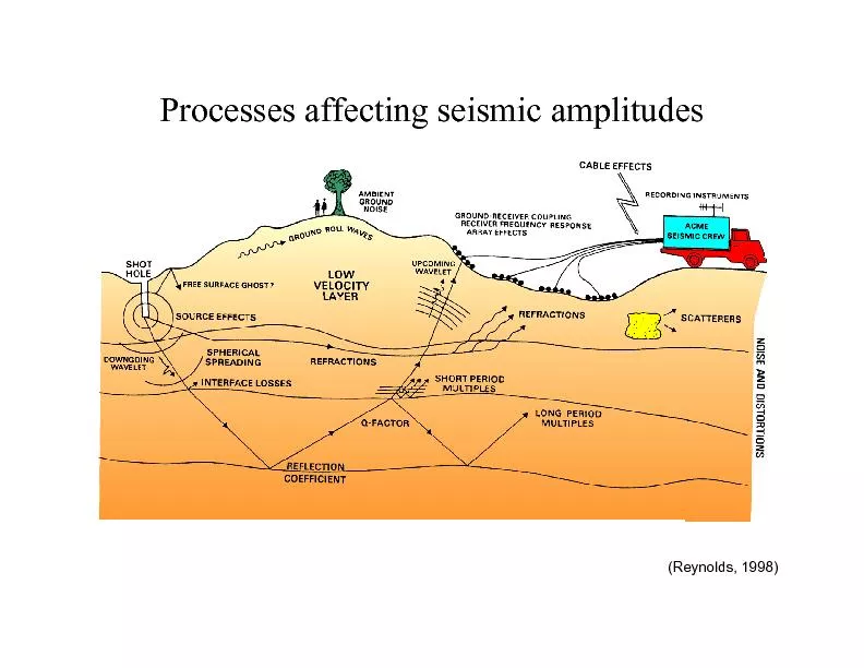 Processes affecting seismic amplitudes