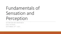 Fundamentals of Sensation and Perception