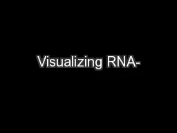 Visualizing RNA-
