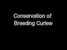 Conservation of Breeding Curlew