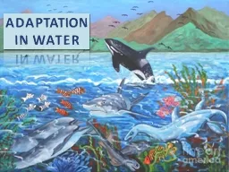 ADAPTATION IN WATER