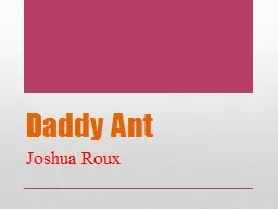 Daddy Ant