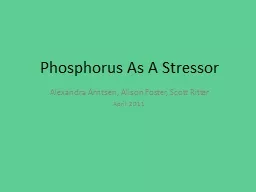 Phosphorus As A Stressor