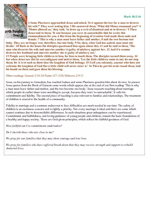 PDF-\r\r  thumbnail