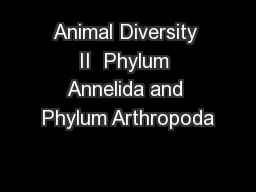 Animal Diversity II  Phylum Annelida and Phylum Arthropoda