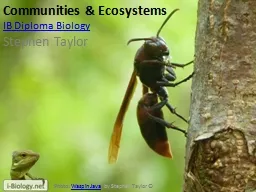 Communities & Ecosystems