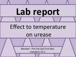 Lab report