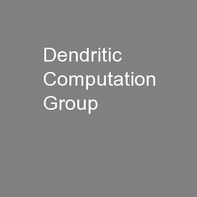 Dendritic Computation Group