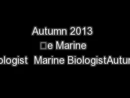 Autumn 2013  e Marine Biologist  Marine BiologistAutumn