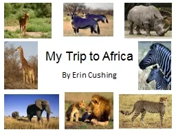 My Trip to Africa