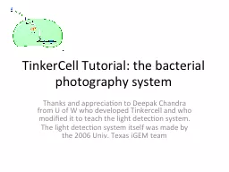 TinkerCell