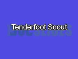 Tenderfoot Scout