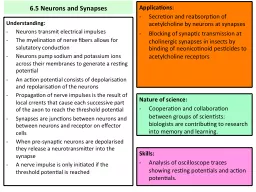 6.5 Neurons and Synapses