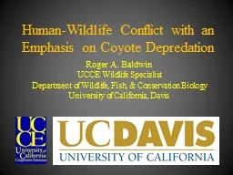 Human-Wildlife Conflict with an Emphasis on Coyote Depredat