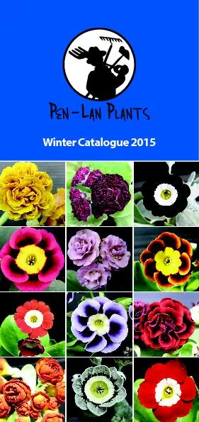 Winter Catalogue 2015