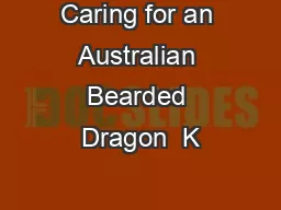 Caring for an Australian Bearded Dragon  K