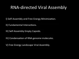 RNA-directed Viral Assembly