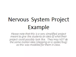 Nervous System Project Example