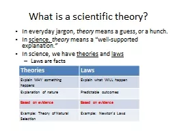 What is a scientific theory?