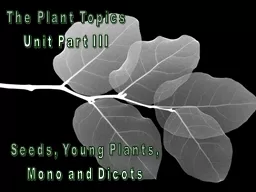 The Plant Topics