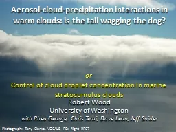 Aerosol-cloud-precipitation interactions in warm clouds: is